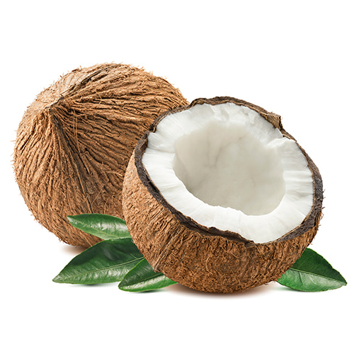 [필리핀] 오가닉 코코넛오일